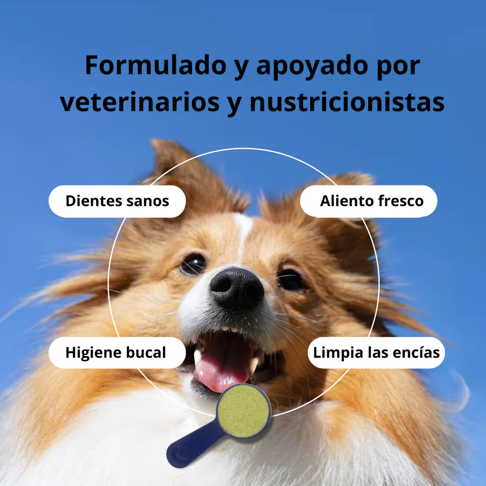 DentixPet™ Sin sarro, Sin olores y Sin estrés