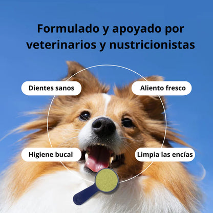 DentixPet™ Sin sarro, Sin olores y Sin estrés