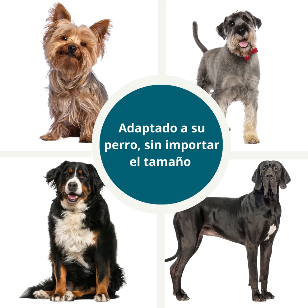 DentixPet™ Sin sarro, Sin olores y Sin estrés