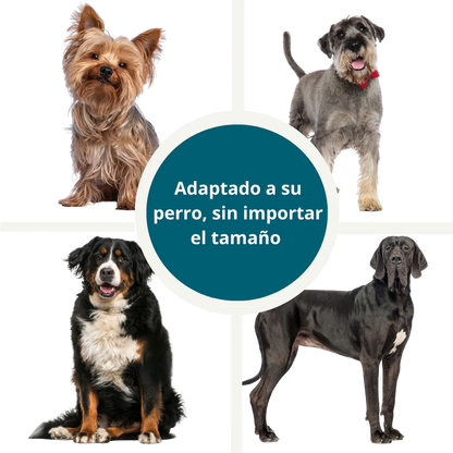 DentixPet™ Sin sarro, Sin olores y Sin estrés