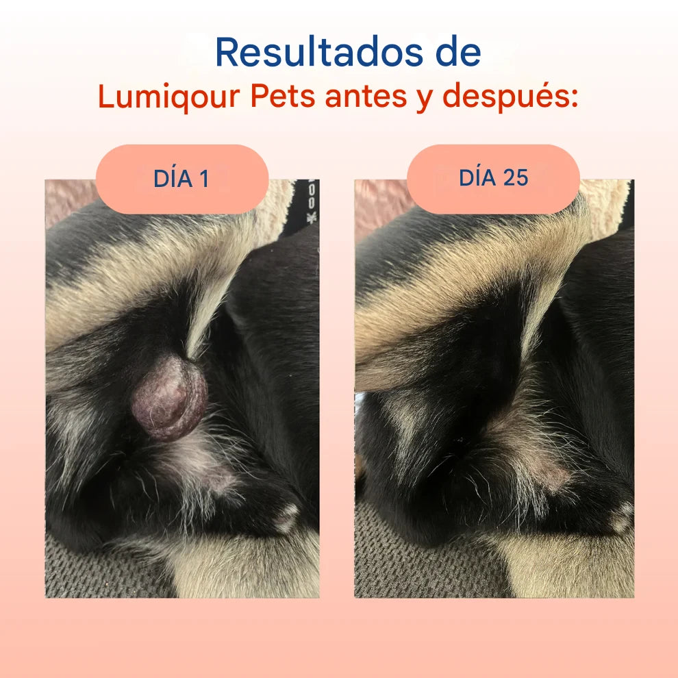 Probiótico de cola de pavo™ evita un cancer o tumor en tu cachorro