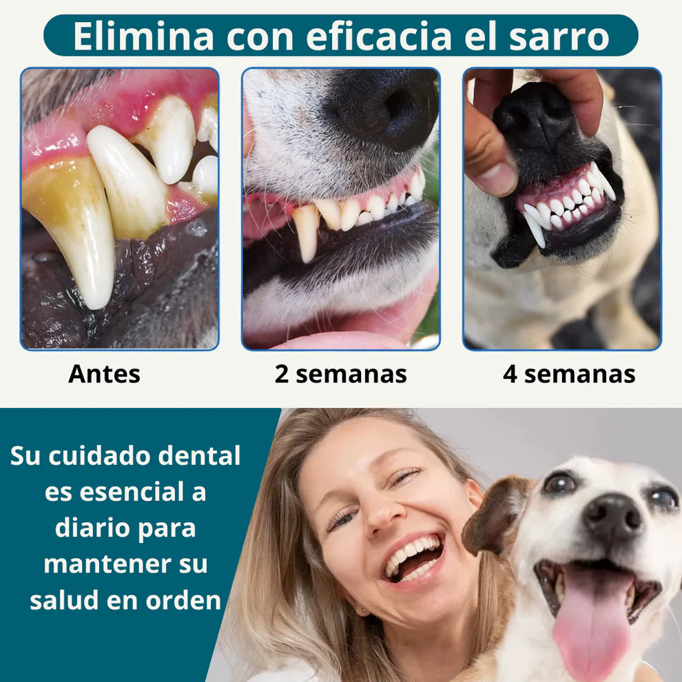 DentixPet™ Sin sarro, Sin olores y Sin estrés