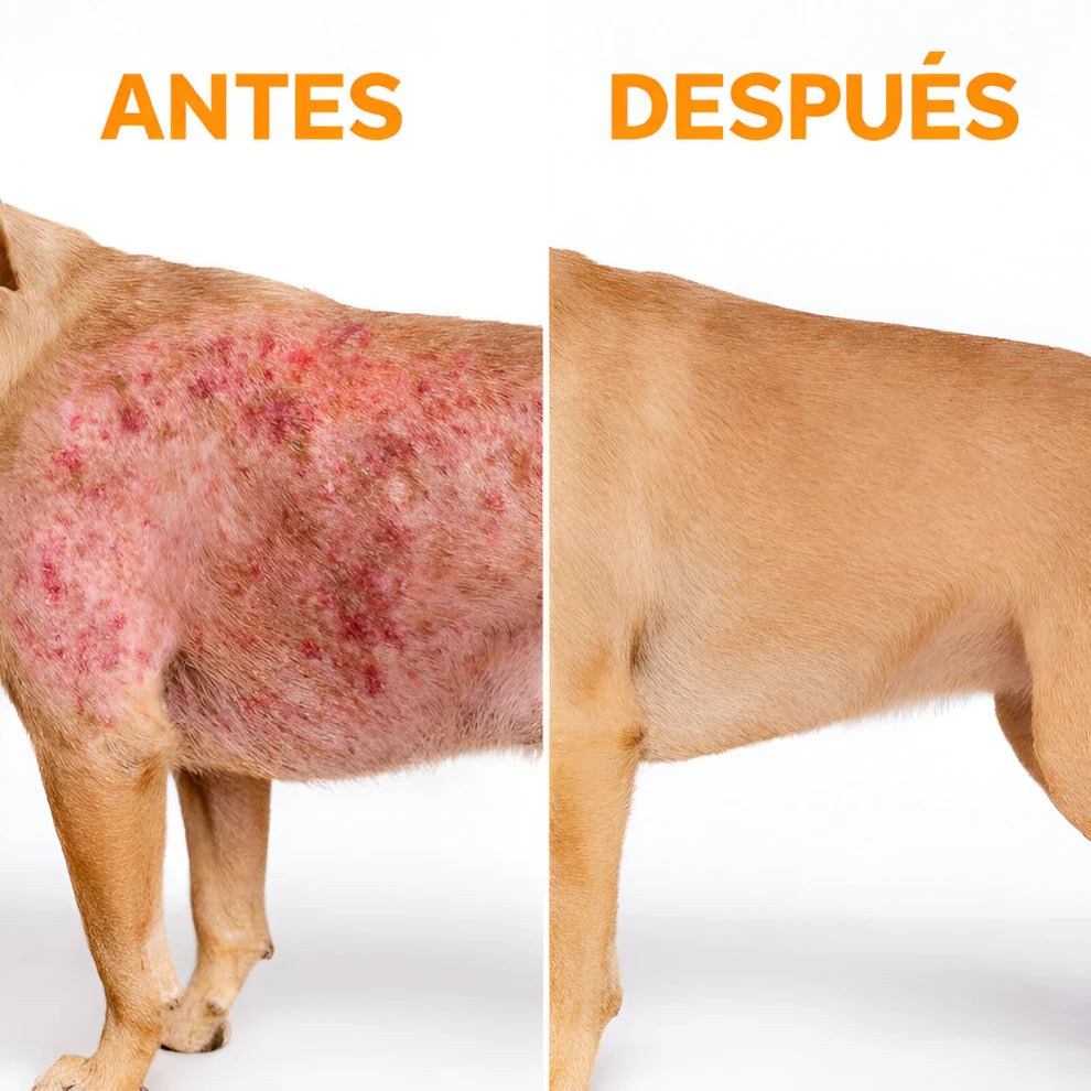 Spray Dermapet Alivio inmediato para la picazón y la irritación. Favorece la recuperación natural de piel y pelaje