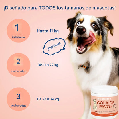 Probiótico de cola de pavo™ evita un cancer o tumor en tu cachorro