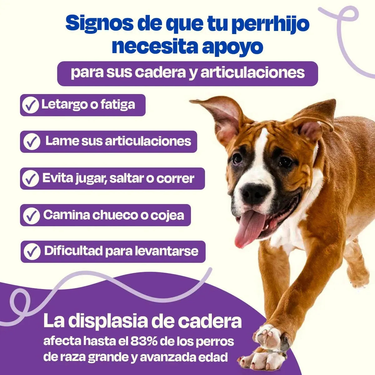 Suplemento para Articulaciones de Perros - Mobility